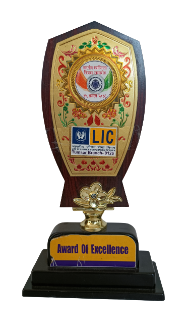 AWARD OF EXCELLENCE